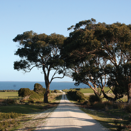 Flinders Island, Lamb