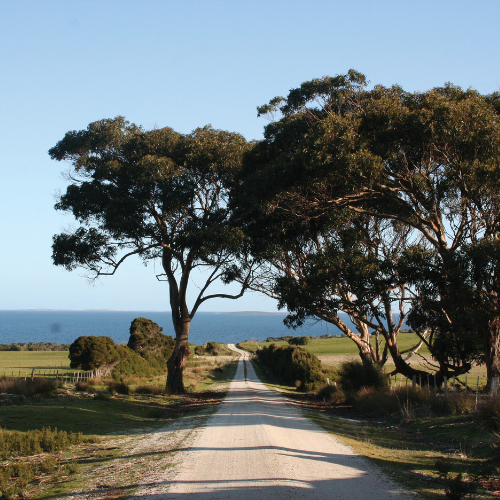 <strong>Flinders Island, Lamb</strong>