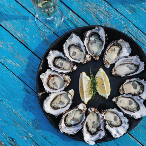<strong>Get Shucked, Oysters</strong>
