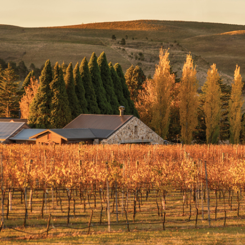 <strong>Bendooley Estate</strong>, Southern Highlands