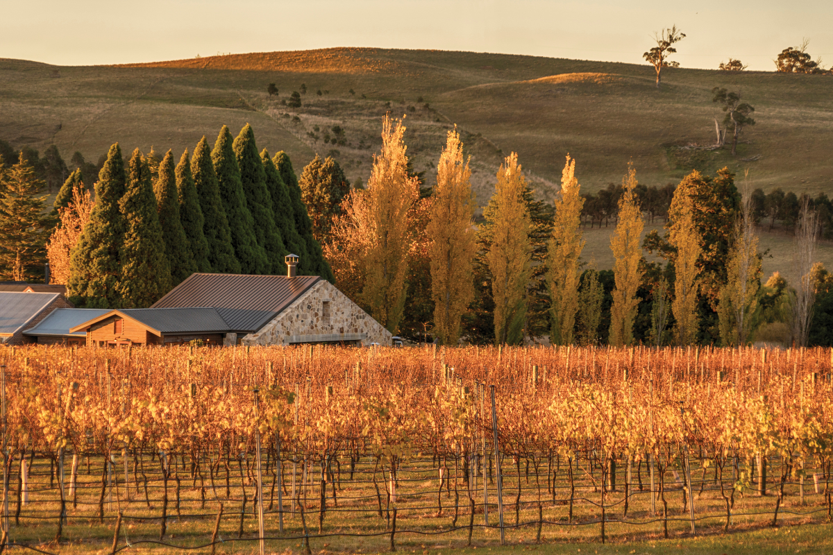 Ultimate 2023 Guide 13 Best Luxury Winery Stays around Australia. Bendooley Estate, New South Wales. Image via Destination NSW.