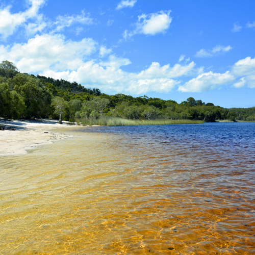 <strong>Brown Lake</strong>