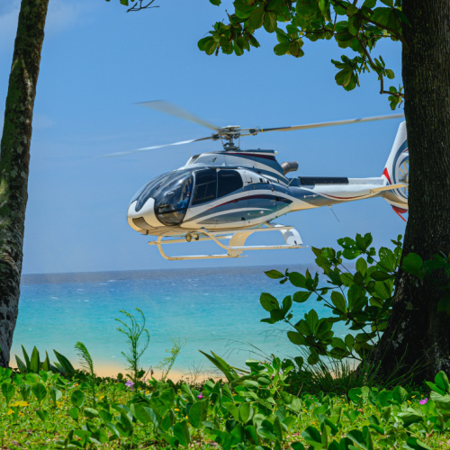 <strong>Whitehaven Beach Escape Heli Tour</strong>