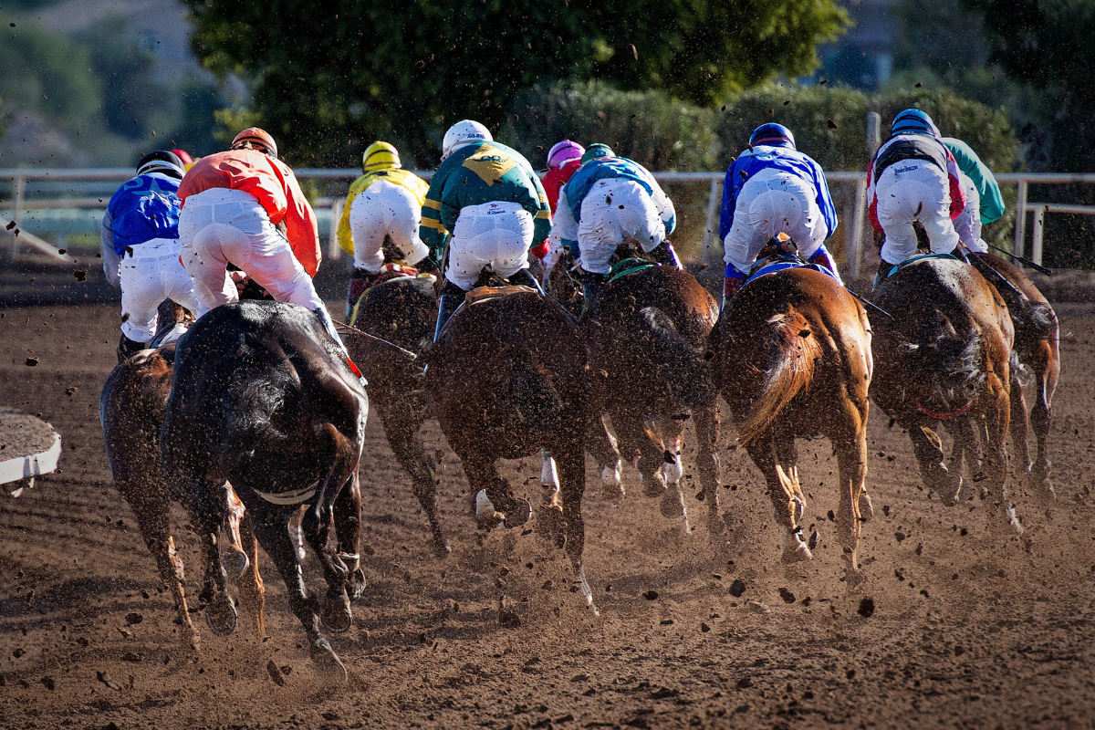 The Top 5 Richest Horse Races in Australia. Photographed by Gene Devine. Image via Unsplash.