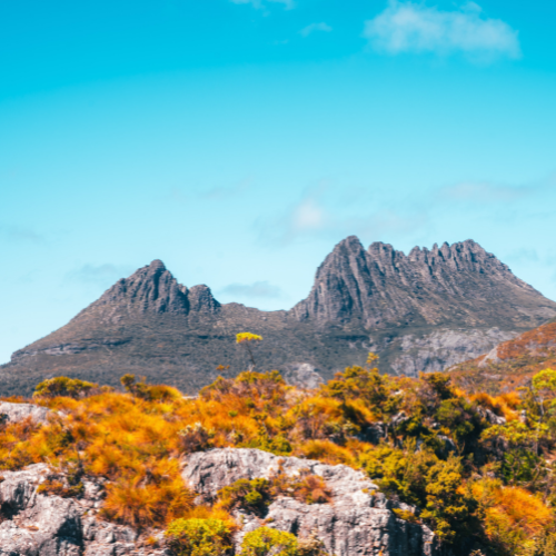 <strong>Cradle Mountain Highlanders</strong>