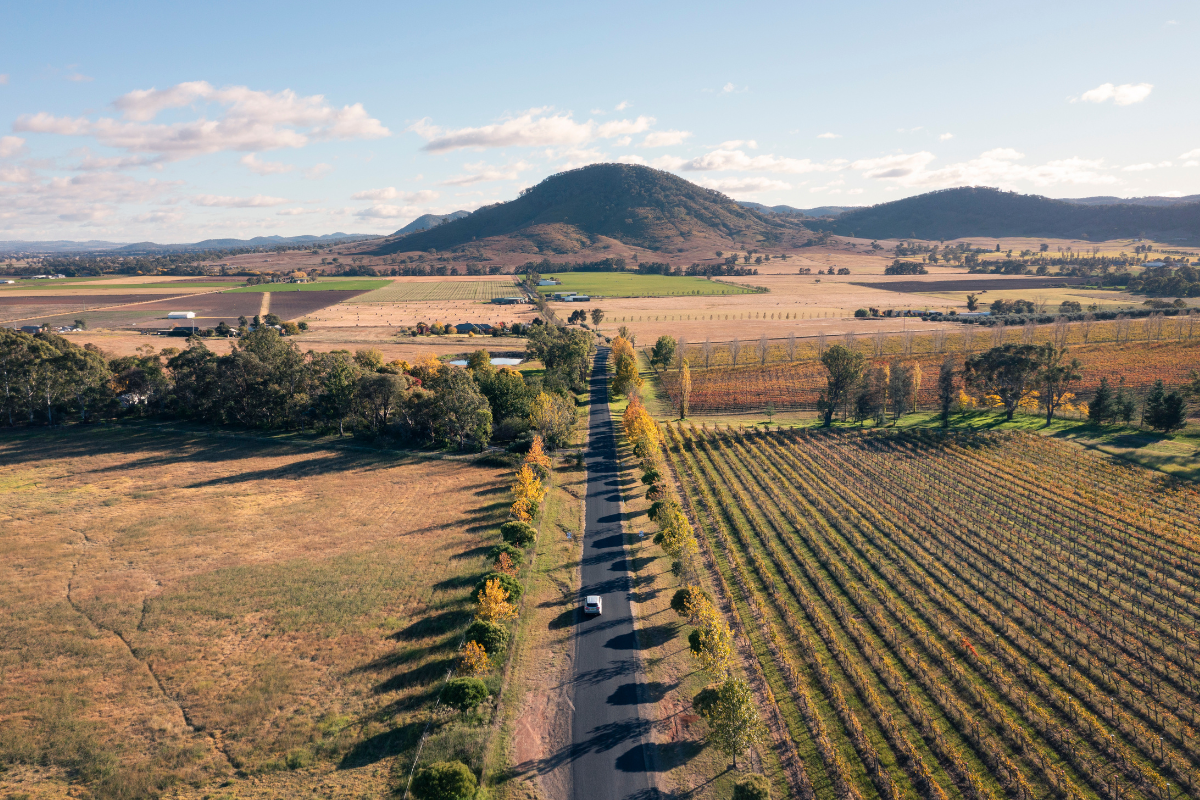 The 4 Best Vineyards and Wineries in Mudgee, New South Wales. Photographed by Daniel Tran. Image via Destination NSW.