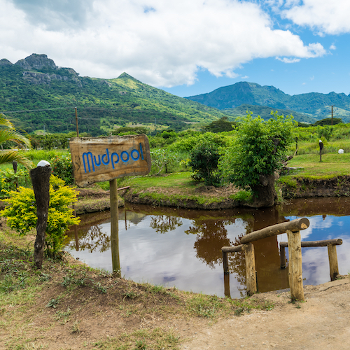 <strong>Nadi Cultural & Mudpool Tour</strong>