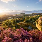 North York Moors National Park. Photographed by matroinsonphoto. Image via Shutterstock