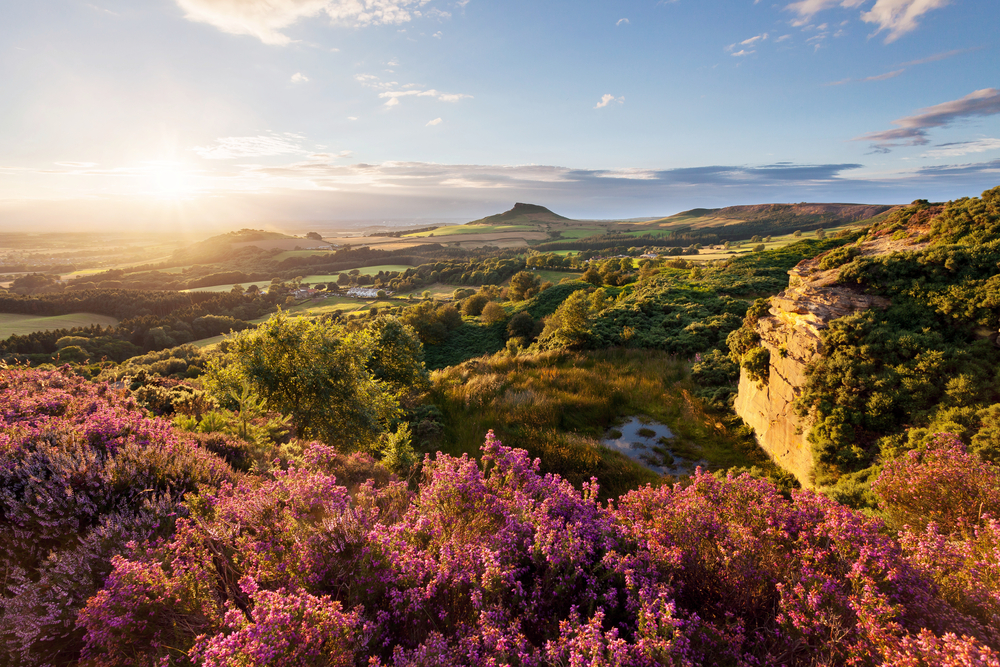 North York Moors National Park. Photographed by matroinsonphoto. Image via Shutterstock