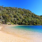 Ku-ring-gai Chase National Park. Photographed by Camila Se. Image via Shutterstock