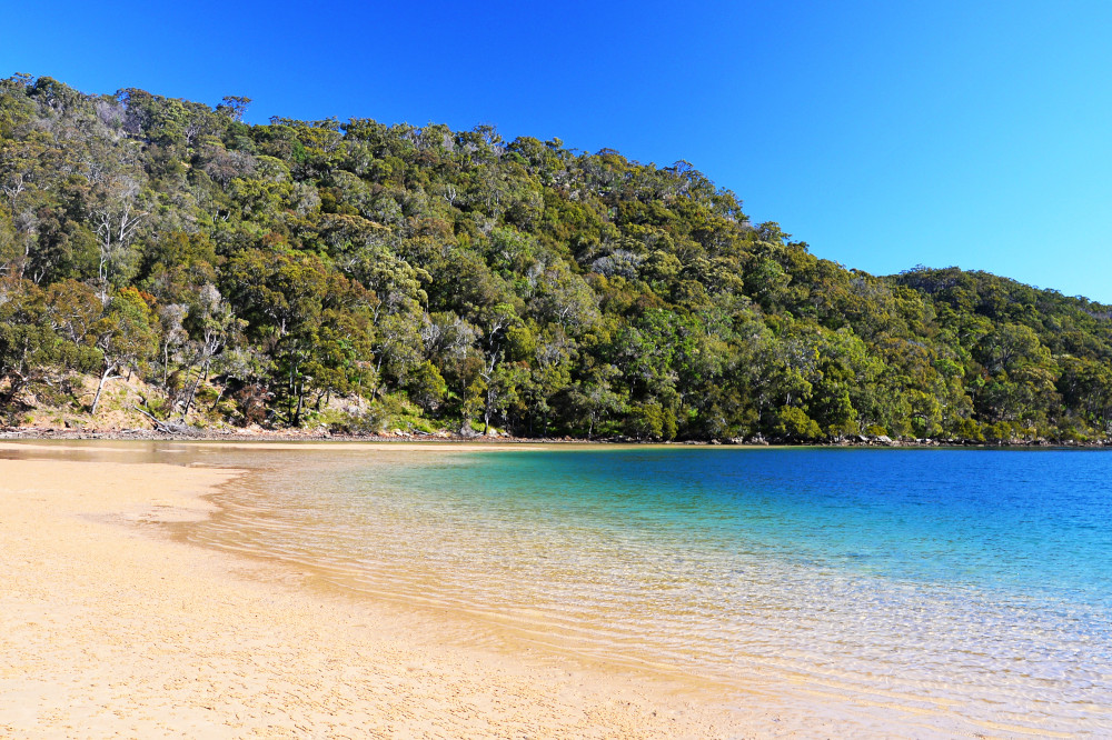 Ku-ring-gai Chase National Park. Image: Camila Se / Shutterstock