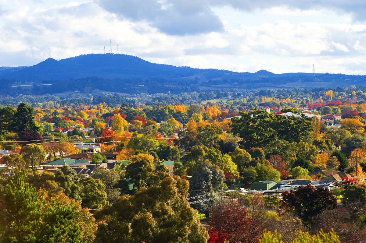 Orange, NSW. Image: Alf Manciagli / Shutterstock