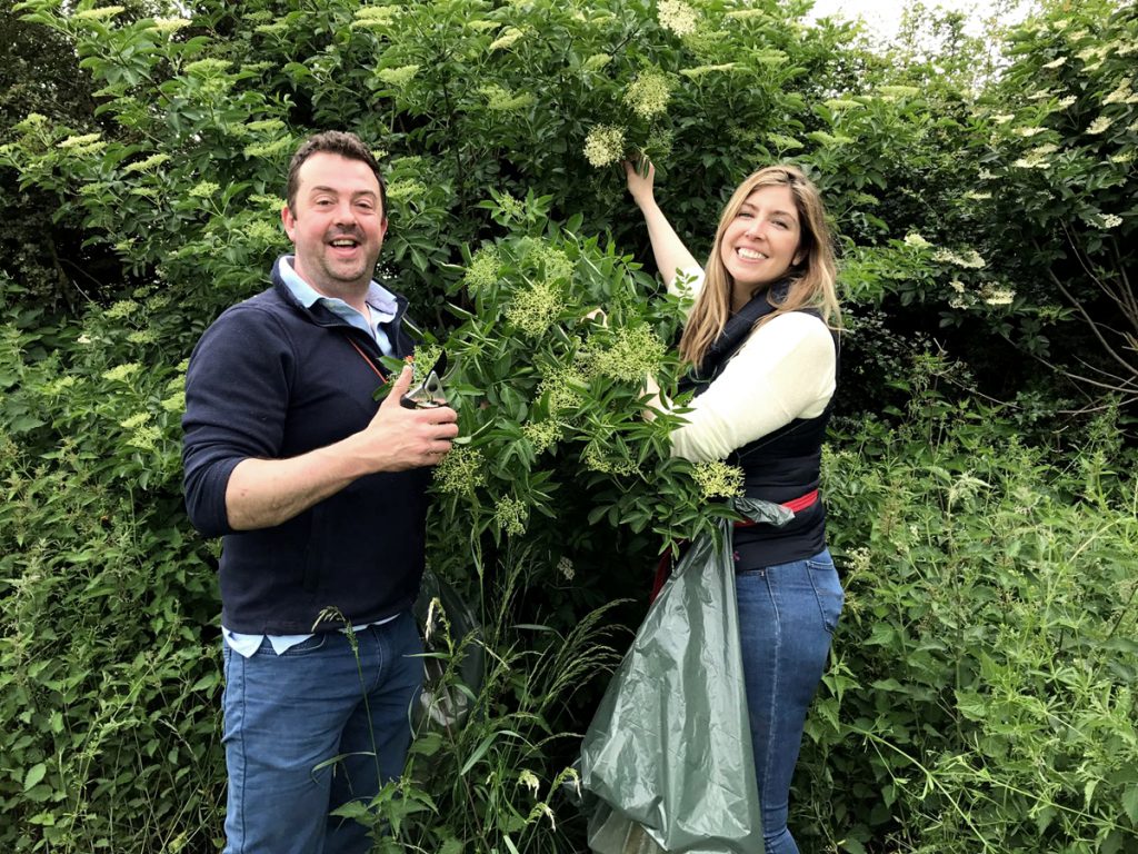 Tom and Tina Warner harvesting elderflowers from their farm. Image supplied.