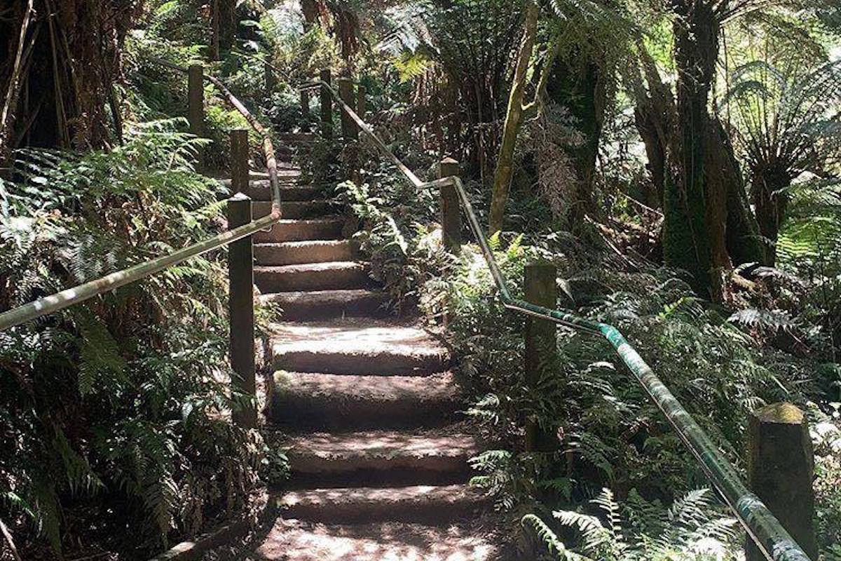 1000 Steps. Photographed by Steph Stroud. Image supplied via Hunter and Bligh