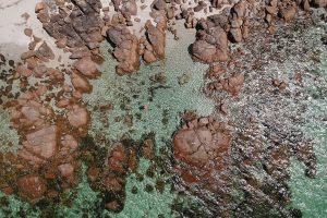 Aerial view of Castle Rock Beach. Photographer: Amy Delcaro. Hunter and Bligh.