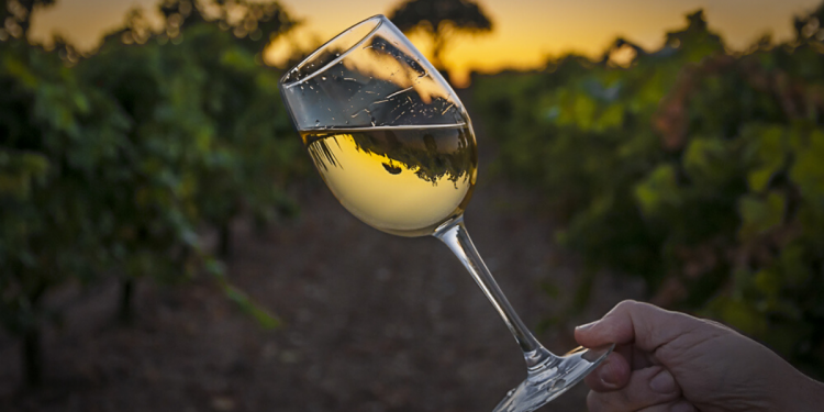 White Wine Glass. Photographed by PedrOGar. Image via Shutterstock