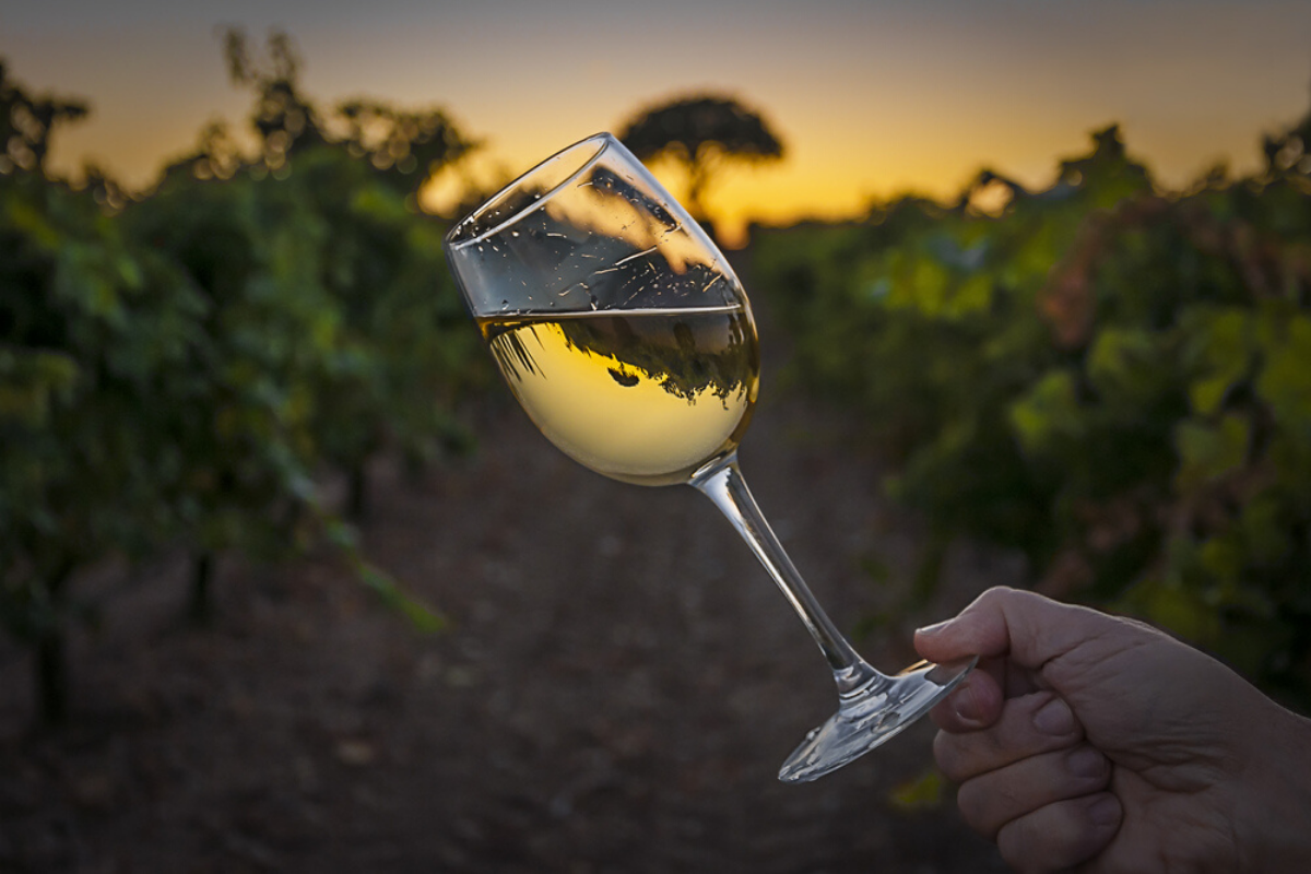 White Wine Glass. Photographed by PedrOGar. Image via Shutterstock