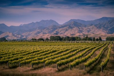 Marlborough New Zealand. Photographed by Rudmer Zwerver. Image via Shutterstock