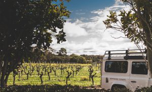 Voyager Estate Vineyard. Photographer: Shot by Thom. Image Supplied.