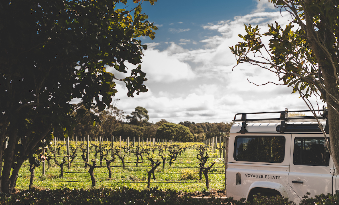 Voyager Estate Vineyard. Photographer: Shot by Thom. Image Supplied.