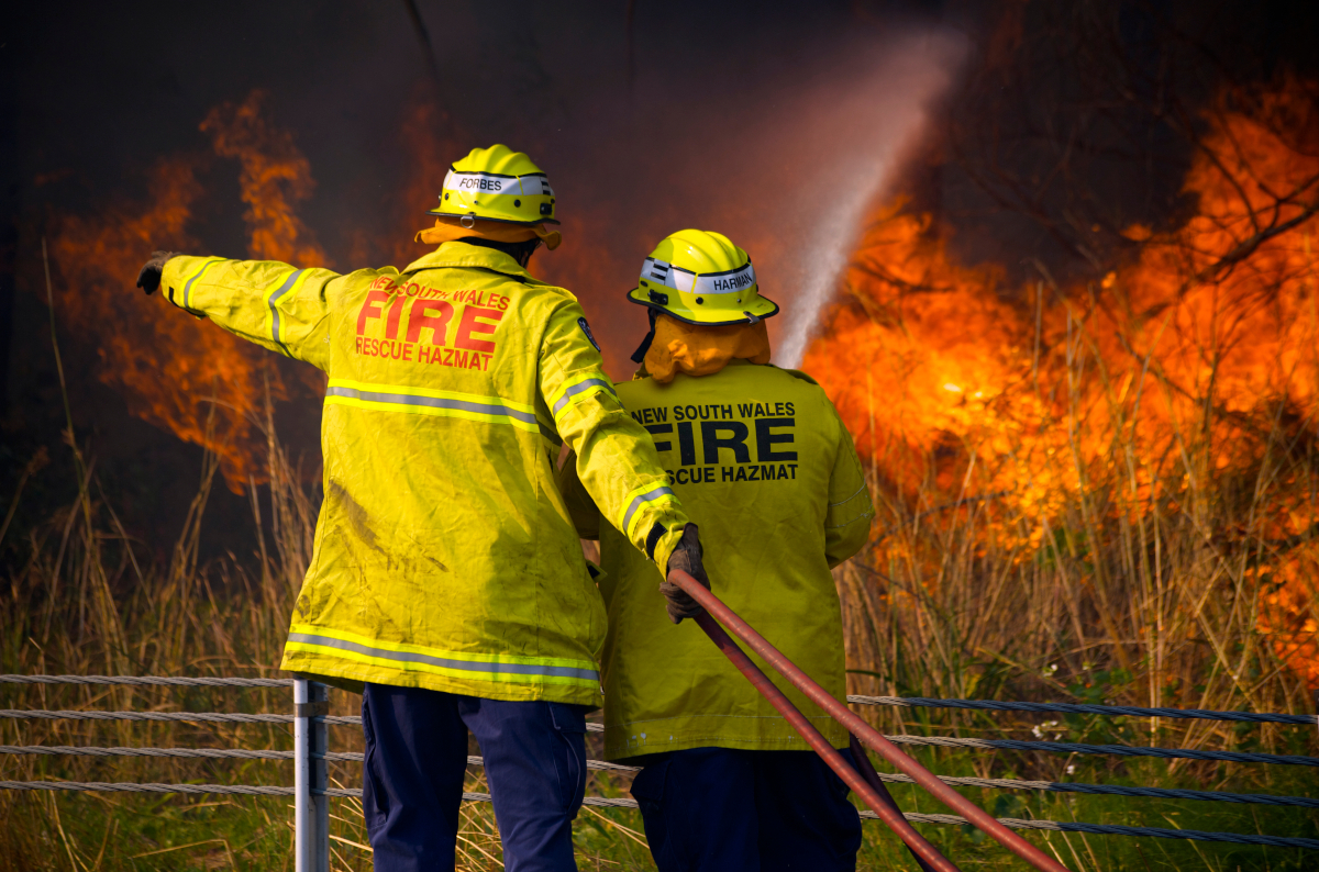 NSW firefighters battling a bushfire. Image: Karl Hofman / Shutterstock