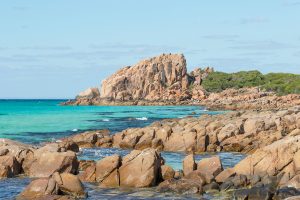 Castle Rock Beach. Photographer: David Steele Image via Shutterstock.