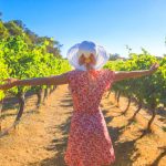 Margaret River Vineyards. Photographed by Benny Marty. Image via Shutterstock.