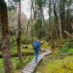 Cradle Mountain National Park. Photographed by Visual Collective. Image via Shutterstock.