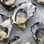 Coffin Bay Oysters. Image: Darren Tierney