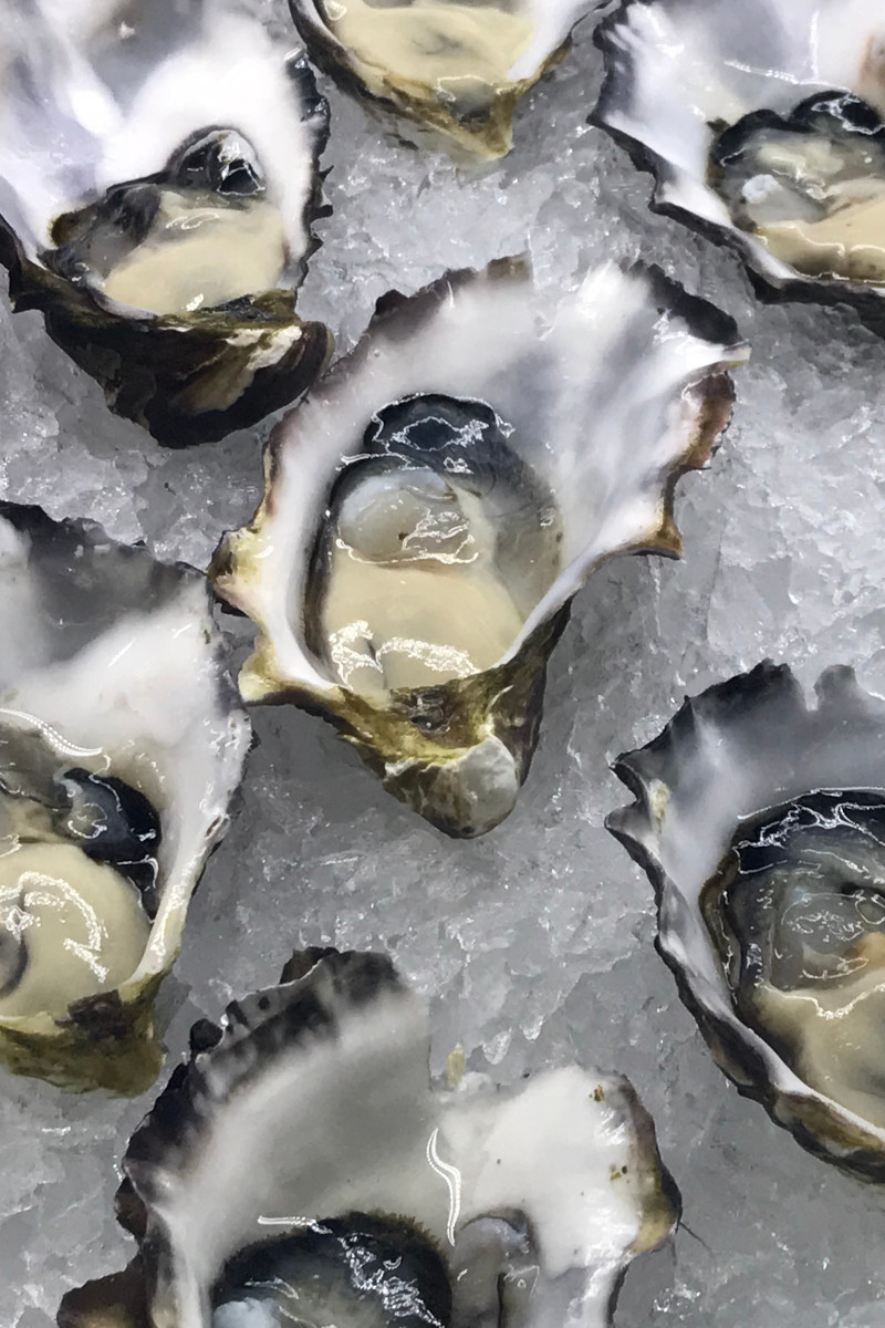Coffin Bay Oysters. Image: Darren Tierney