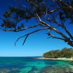 Huskisson Beach. Image: Ilya Genkin