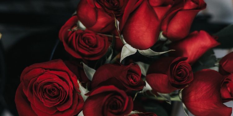 Australia's Best Flower Delivery Services for Valentine's Day 2022. Photographed by Sidney Pearce. Image via Unsplash