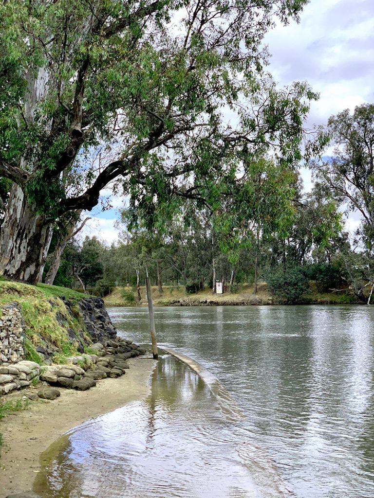 View from the River Deck Cafe, Albury. Image via Rebecca Cherote for Hunter and Bligh