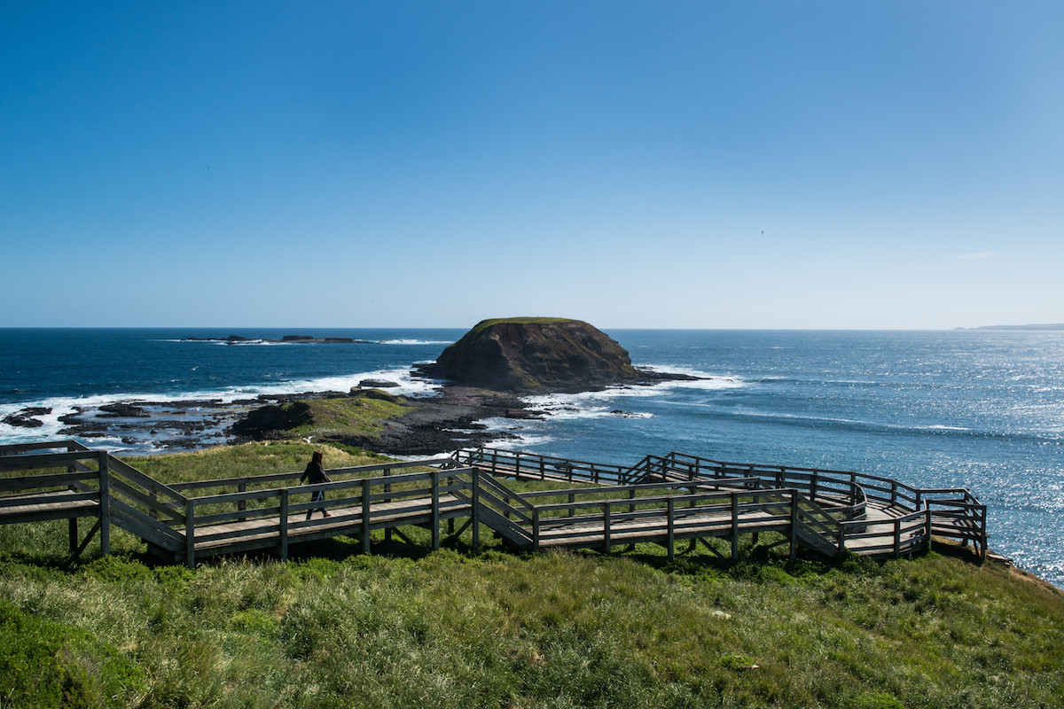 Nobbies at Phillip Island. Photographed by Emily Fitzgerald. Image supplied via Visit Victoria.
