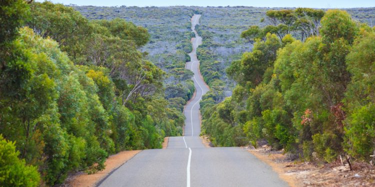 Road through Flinders Chase National Park on Kangaroo Island. Image: Rodrigo Lourezini