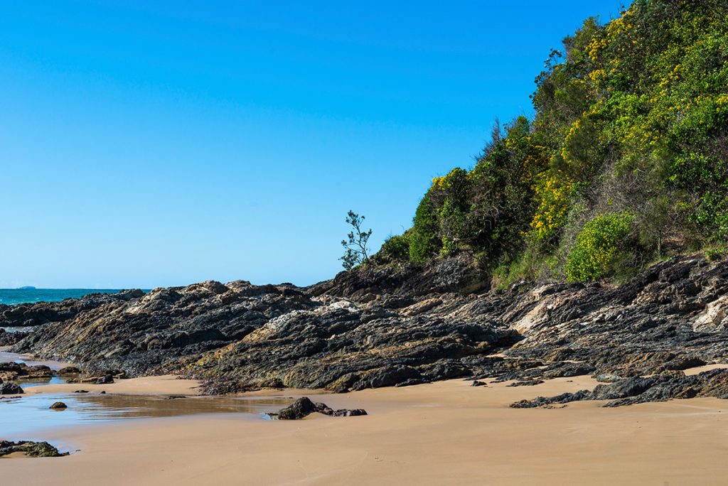 Diggers Beach Coffs Harbour