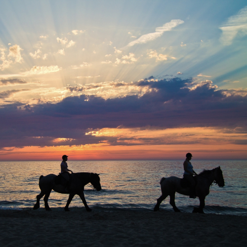 Horse Riding On The Beach