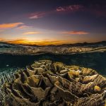 Coral Bay Western Australia. Photographed by Alex Kydd. Image Supplied