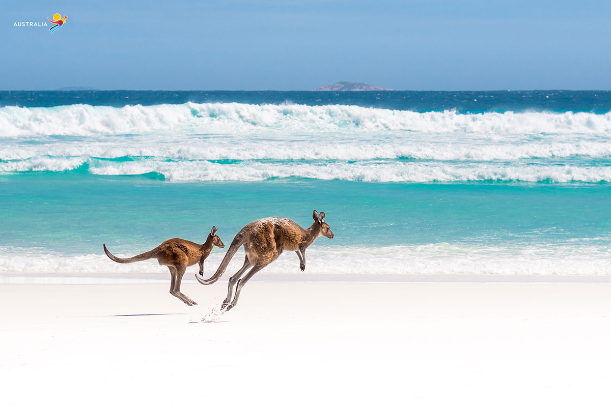 Lucky Bay, WA. Zoom Background. Image provided via Tourism Australia.