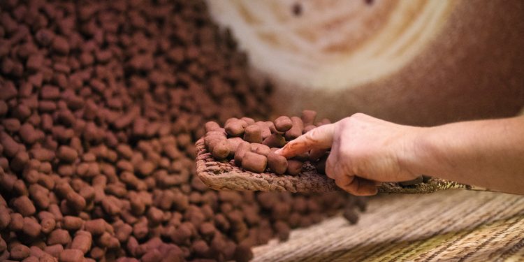Junee Liquorice and Chocolate Factory, Junee. Image via Destination NSW