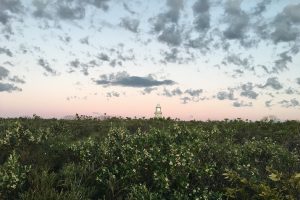 Cape Naturaliste Lighthouse. Photographed by Amy Delcaro. Image supplied via Hunter and Bligh.