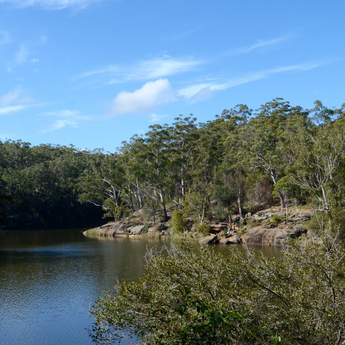 Lake Parramatta