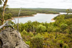 Mundaring Weir & CY O'Connor Lake. Photographed by Ciwoa. Image via Shutterstock.