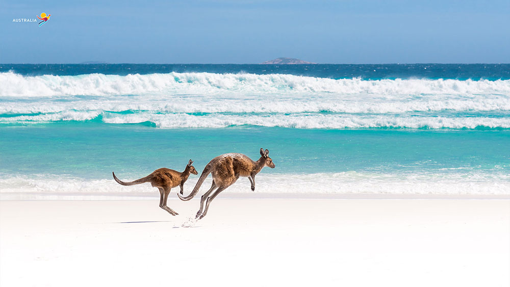 WA, Lucky Bay. Image via Tourism Australia
