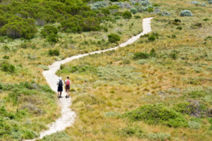 Wadjemup Aboriginal Walk Trail, Rottnest Island. Photography by Rottnest Island Authority. Image via Tourism Western Australia