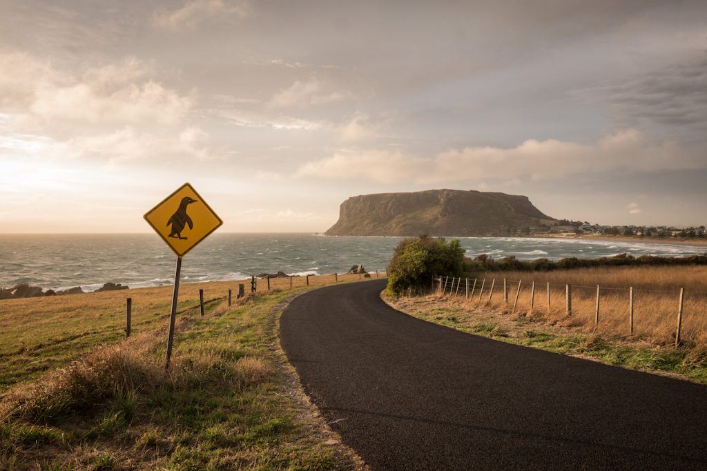 Road in Tasmania.