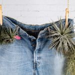 Denim jeans with plants. Photographed by Ovnigraphic. Image via Shutterstock