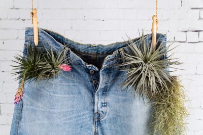 Denim jeans with plants. Photographed by Ovnigraphic. Image via Shutterstock