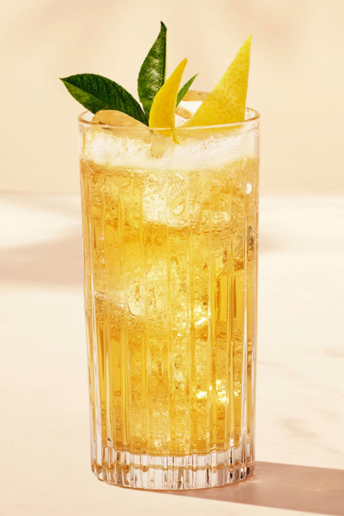 Johnnie & Lemon Highball