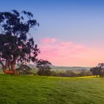 Clare Valley, South Australia. Photographed by kwest. Image via Shutterstock.